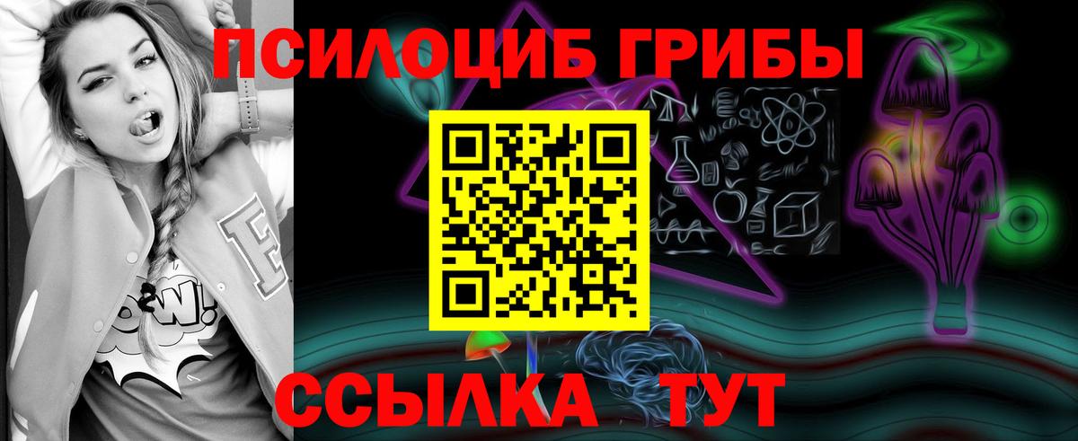 Грязи  Псилоцибиновые грибы прущие грибы  Галлюциногенные грибы мицелий  Вход с VPN 